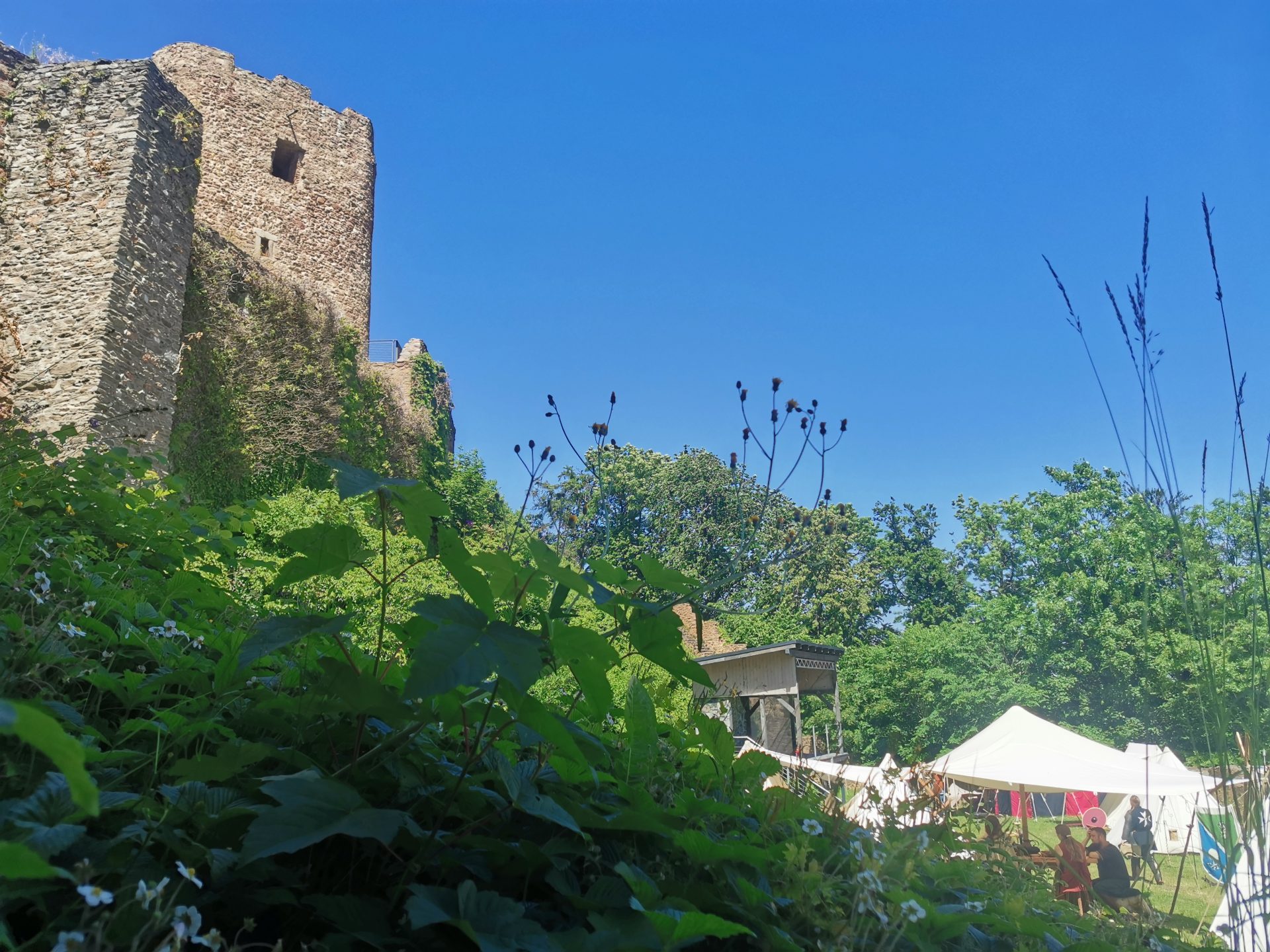 Burgturm und Lagerzelt eingerahmt von üppig grüner Sommervegetation