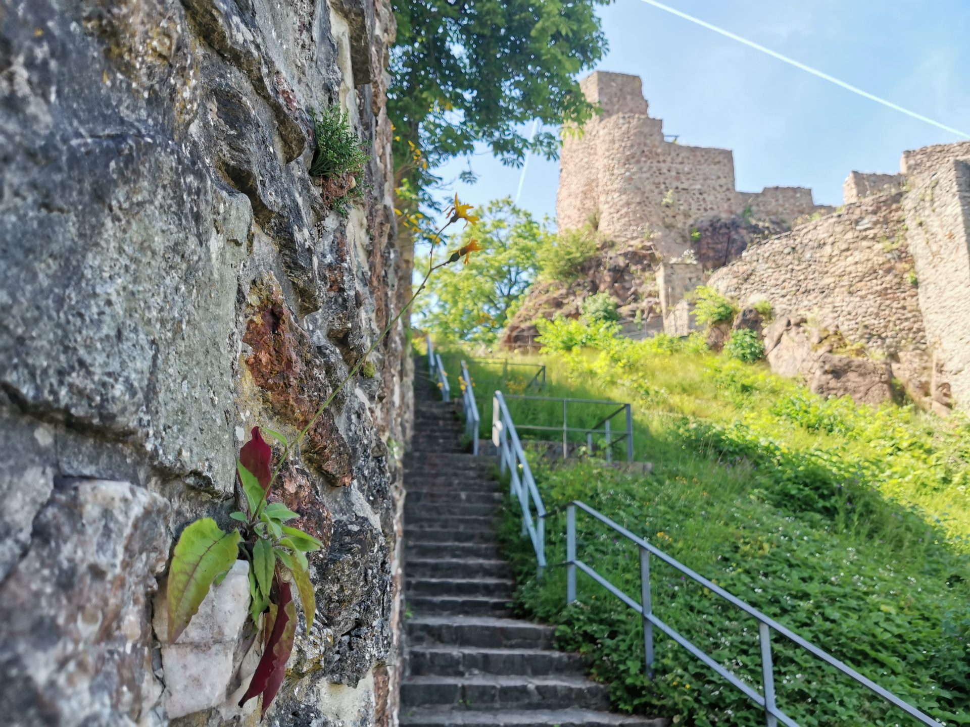 Treppenaufgang mit Geländer entlang einer alten Steinmauer, Burgruine im Hintergrund